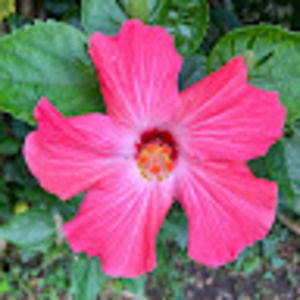 Meet your Posher, Bella